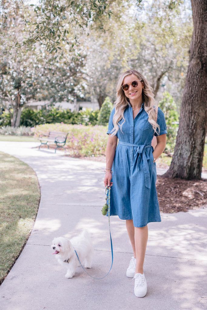 Chambray Sundress