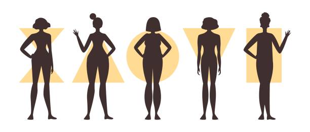 Different Body Types